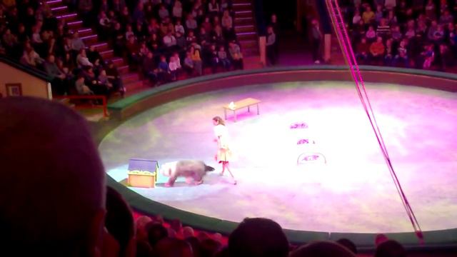 Выступление собак/Speech by dogs смотреть онлайн