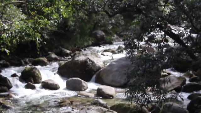 Port Douglas // Australia смотреть онлайн