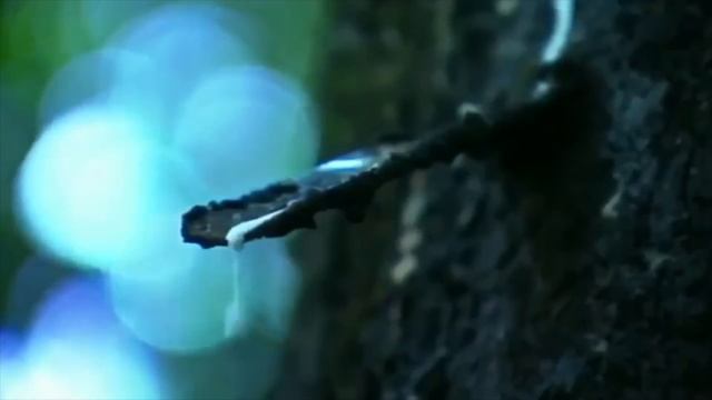 научные открытия, сделанные случайно | топ 10 | Это интересно | случайные изобретения смотреть онлайн