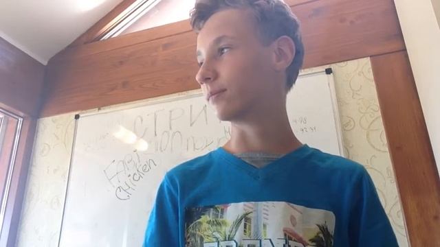 Дневник Стива Гравити Фолз