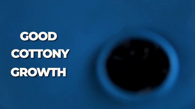 TrustBin Composter | Day 7 | TrustBasket | Convert Kitchen Waste into Compost | Episode - 5 смотреть онлайн