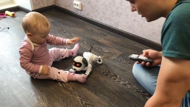 Собака РОБОТ, мы назвали его Лума смотреть онлайн