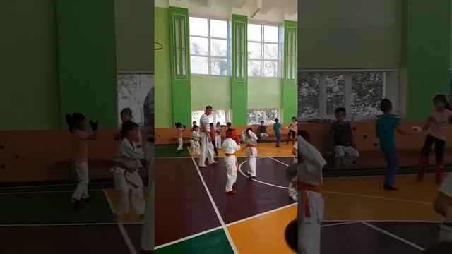 День спаринга Киокушинкай Каратэ смотреть онлайн