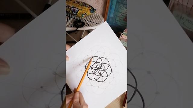 Как рисовать Мандалу Цветок Жизни, Сакральная Геометрия смотреть онлайн