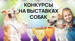 Конкурсы на выставке собак - Ребенок и собака - Юный хэндлер - Best in Show - Чемпионат IKU