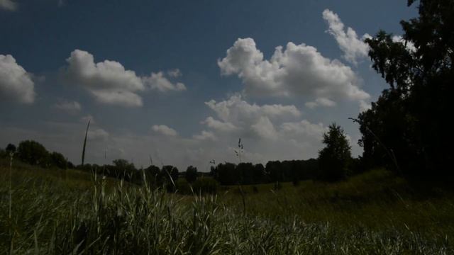 Природа и вся её красота смотреть онлайн