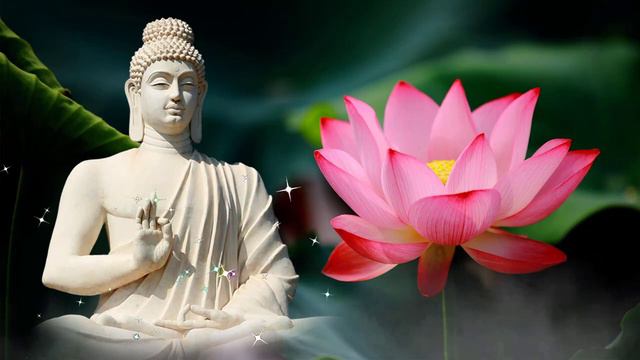 GREATEST BUDDHA MUSIC Of All Time 🌿🌷💖 Buddhism Songs Dharani 🙏Mantra For Buddhist, Sound Of Buddha