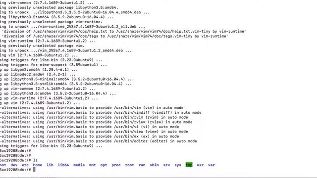How to Install Applications inside Docker Containers смотреть онлайн