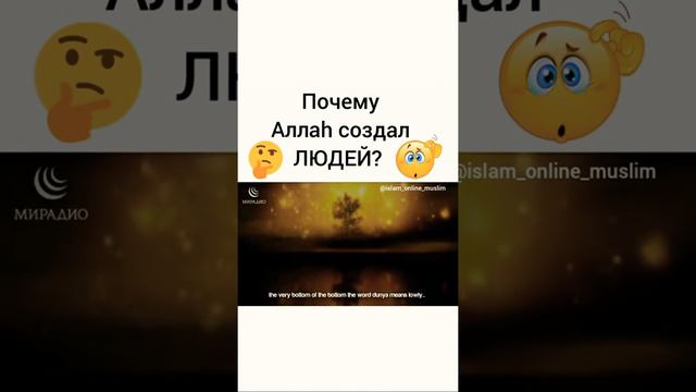 Почему Аллах создал людей смотреть онлайн