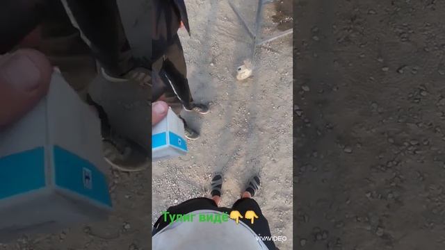 случайно ремонт рефрижератор на дорог смотреть онлайн