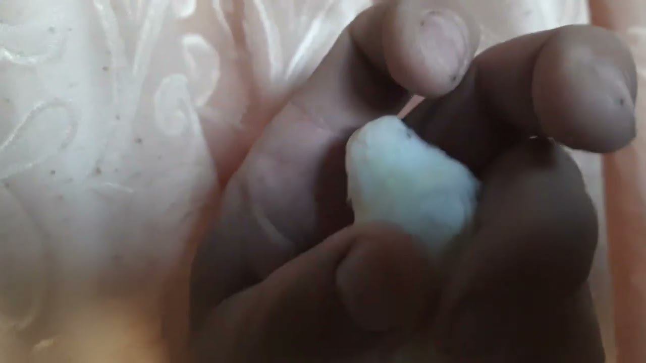 Второе гнездо гибридов щегол+канарейка.23.07.2022 год смотреть онлайн