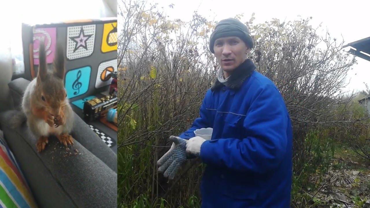 Копаю на месте бывшего дома!!! Копаю в котловане высохшего пруда. Много разных находок!!! смотреть онлайн