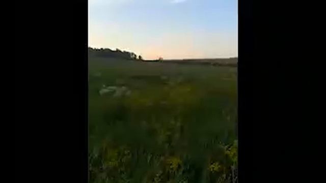 Природа вдали от цивилизации, отдыхаем душой и телом. смотреть онлайн