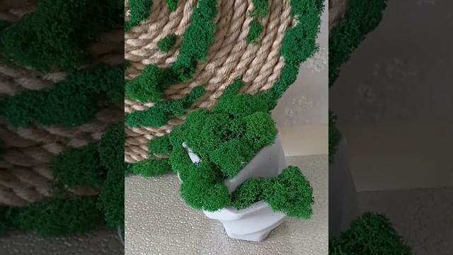 Композиции из стабилизированного мха ягель смотреть онлайн