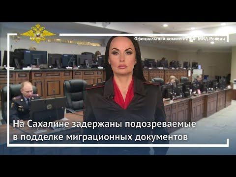 Ирина Волк: На Сахалине полицейскими задержаны подозреваемые в подделке миграционных документов смотреть онлайн
