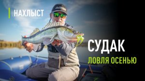 Ловля СУДАКА в Краснодарском крае. Снасть для судака, стримеры, тактика ловли.