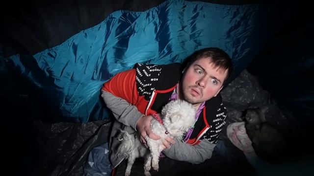 НОЧЬ В ТРЁХКОМНАТНОЙ ПАЛАТКЕ С КОТАМИ И МОМО