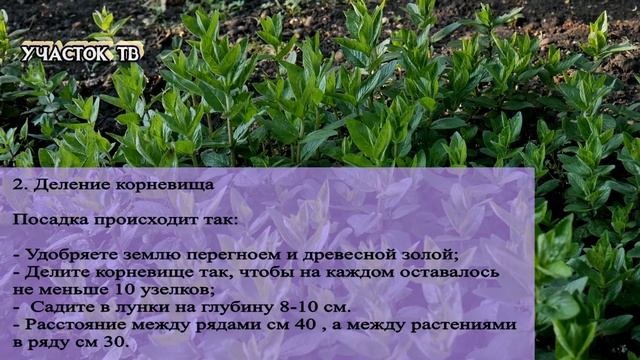 DIY Мастерская