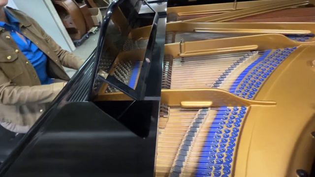 Claudia Klinkenberg Blüthner Modell 6 Grieg￼ смотреть онлайн