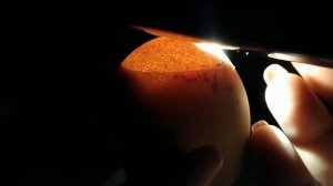 Инкубация куриных яиц день 19!/Мы на финишной прямой!)