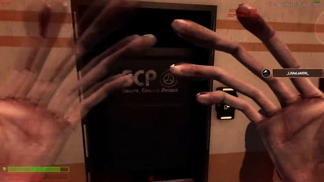Вынес весь комплекс за скромника в SCP:Secret Laboratory смотреть онлайн
