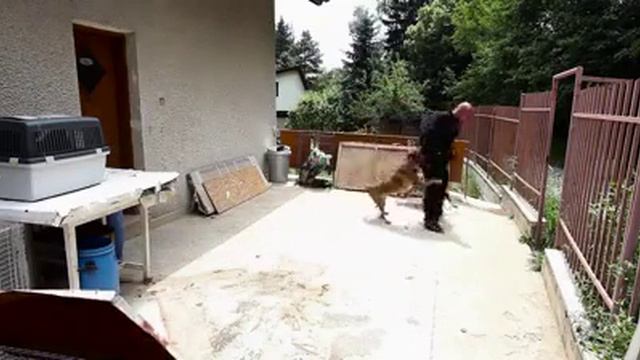 Тест №3. Болгария. смотреть онлайн