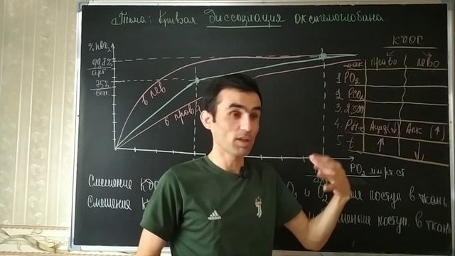 Физиология дыхание. Кривая диссоциации оксигемоглобина. Индекс Р50. смотреть онлайн