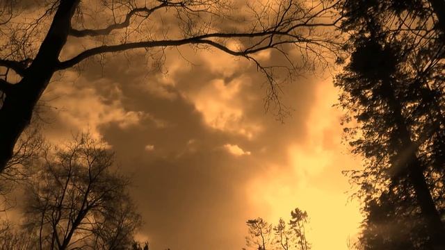 Танец на барабане ... из репертуара Н Гнатюка - инструментальное исполнение Апполинарьев Анатолий смотреть онлайн