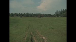 Калина красная. Встреча с матерью.