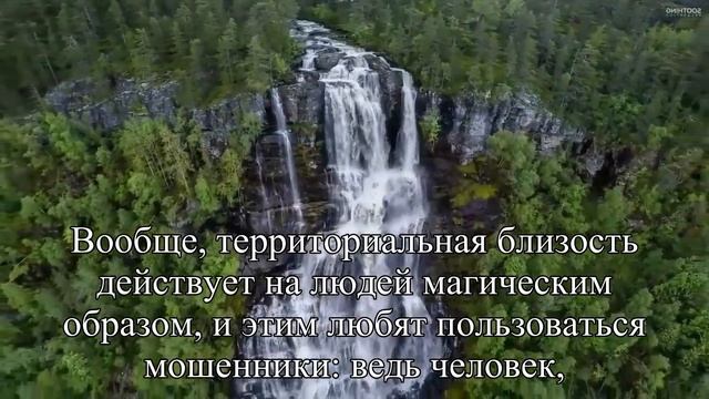 Какие должны быть качества у идеального мужчины — Статья смотреть онлайн