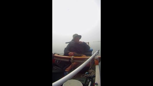 Electra's Foggy Adventure смотреть онлайн