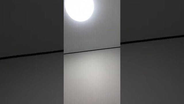 ремонт под ключ вторичка Большая садовая17 смотреть онлайн