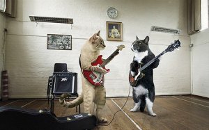 #ЧАП-ЧАП #САМАЯ ЛУЧШАЯ ПЕСНИ- ПЕСНИ ДЛЯ ДЕТЕЙ