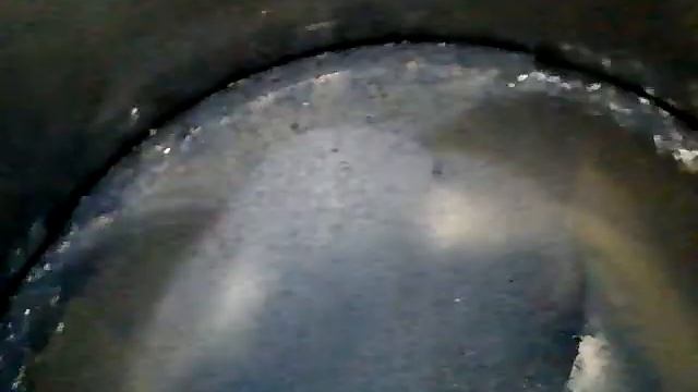 ДВС 2.0 CL (MGDA) без навес Focus 3 (ОАЭ К18, №22)