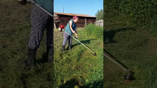 И жнец, и кузнец, и на дуде игрец. смотреть онлайн