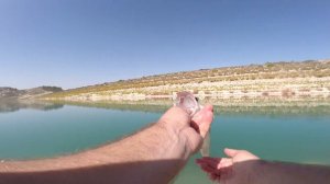 Ловля окуня осенью на съедобный силикон.