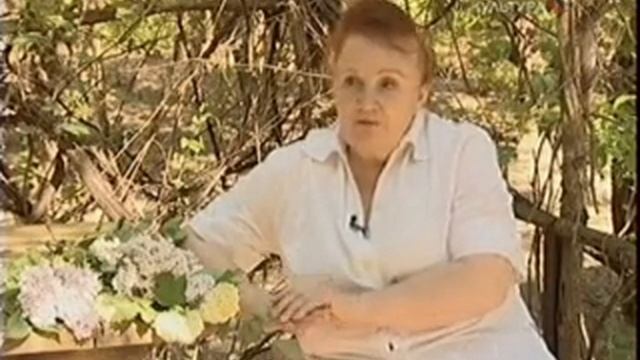 Город солнца - Мичуринск Тамбовской области - Письма из провинции смотреть онлайн