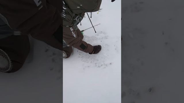 Рыбалка в Видной Усадьбе!!!??? смотреть онлайн