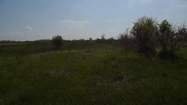 Поиск монет смотреть онлайн