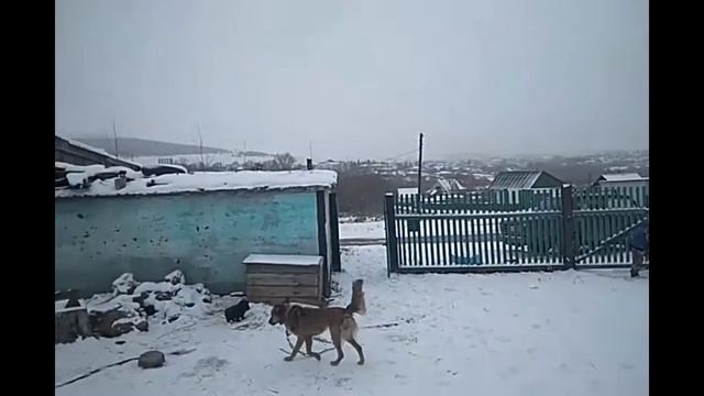 Прогулка/Чистим первый снег/семья Стрельченко смотреть онлайн