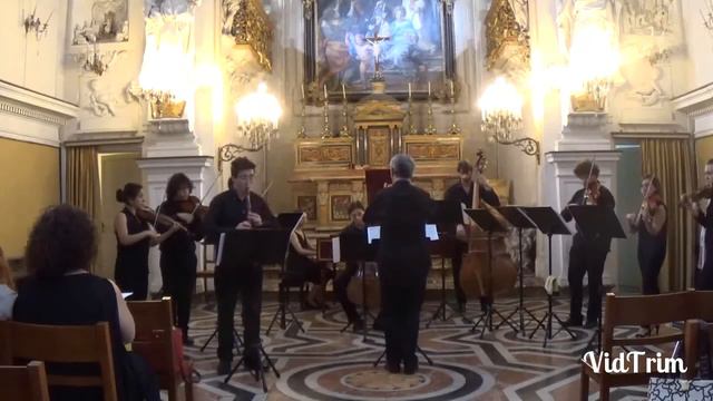 VIVALDI CONCERTO C MINOR RV 441 RECORDER GIUSEPPE FALCIGLIA смотреть онлайн