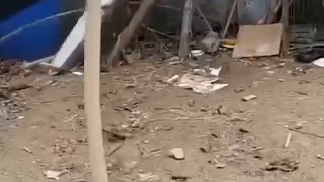 Как перелить воду смотреть онлайн