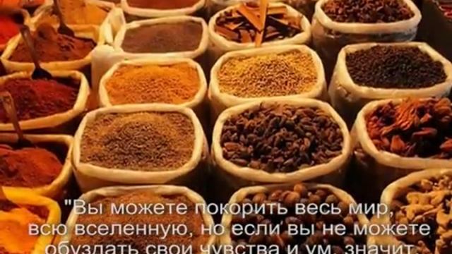 Радханатха Свами. "Путешествие домой" смотреть онлайн
