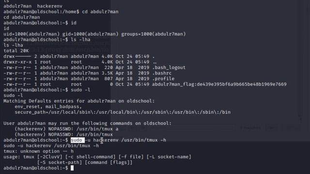 oldschool - Hackerenv смотреть онлайн