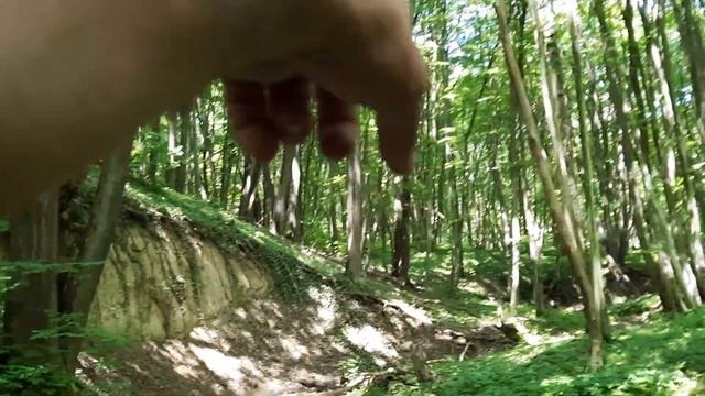 Тайните места на трюфела / The secret places of the truffle смотреть онлайн