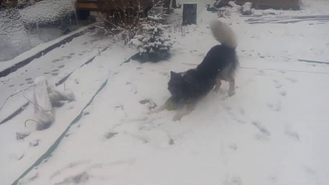 Сургут. #МаябрьСургут 2018(1) смотреть онлайн