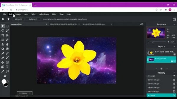 *HOW I CREATE LEAVES PATTERNS USING PIXLR E ONLINE ADVANCED PHOTO EDITOR?*
