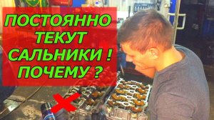 ИЗ-ЗА ЧЕГО ПОСТОЯННО ТЕКУТ САЛЬНИКИ РАСПРЕДВАЛОВ И РЕМЕНЬ ГРМ В МАСЛЕ. ИЗНОС Р_В И ГБЦ #ВИДЕОЛЕКЦИЯ