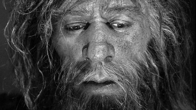 Стихи. Человек разумный. Ростислав Векленко. смотреть онлайн