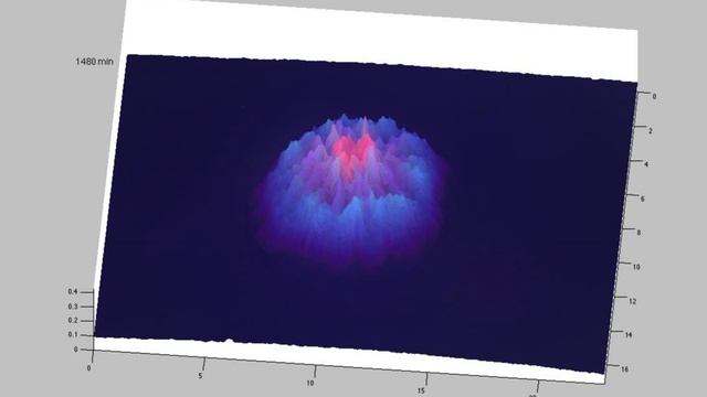 Bacillus subtilis growing on agar plate смотреть онлайн